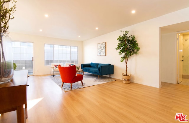 living room with light hardwood / wood-style floors