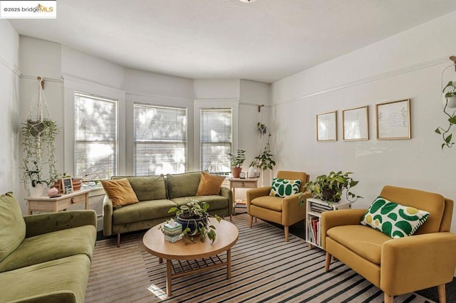 living room with carpet