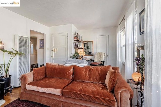 living room with light hardwood / wood-style flooring