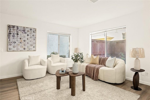 living room with a wealth of natural light and hardwood / wood-style floors