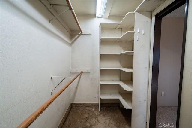 spacious closet featuring carpet