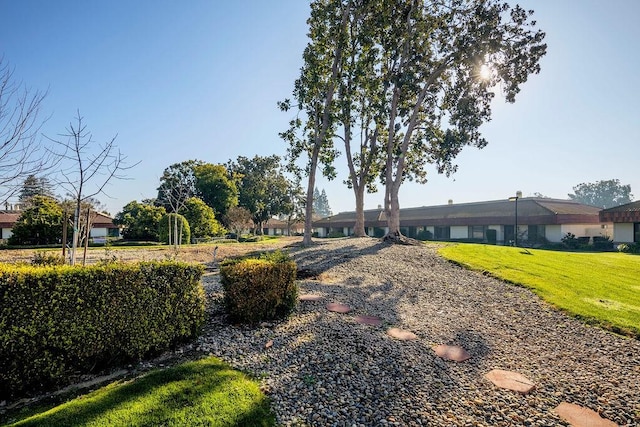 view of front of property featuring a front yard