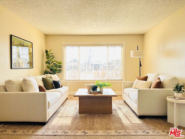 living room featuring a textured ceiling