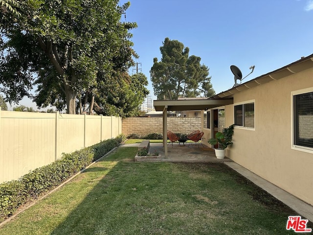 view of yard featuring a patio area