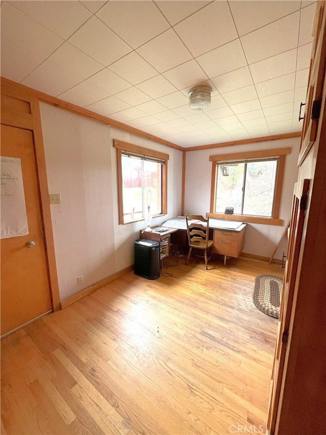 interior space with plenty of natural light, light wood-type flooring, and ornamental molding