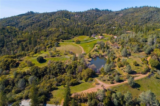 drone / aerial view featuring a water and mountain view