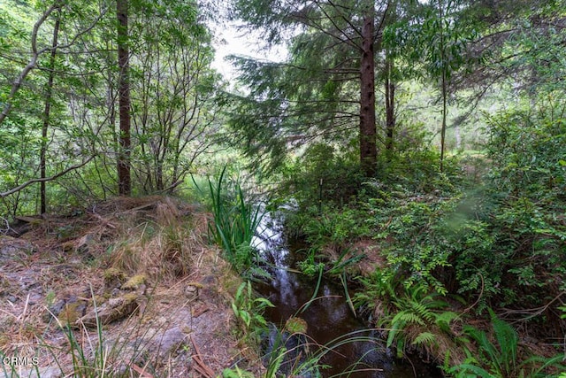 view of landscape