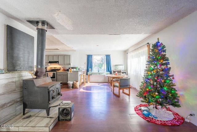 living area with wood finished floors, a textured ceiling, and a wood stove