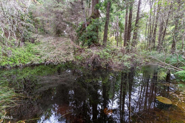 view of local wilderness featuring a forest view