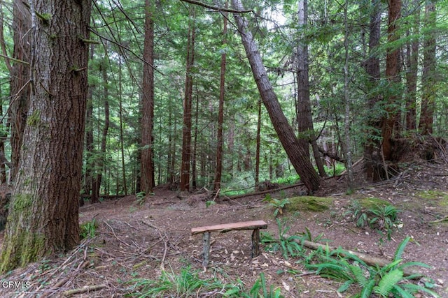 view of landscape with a wooded view