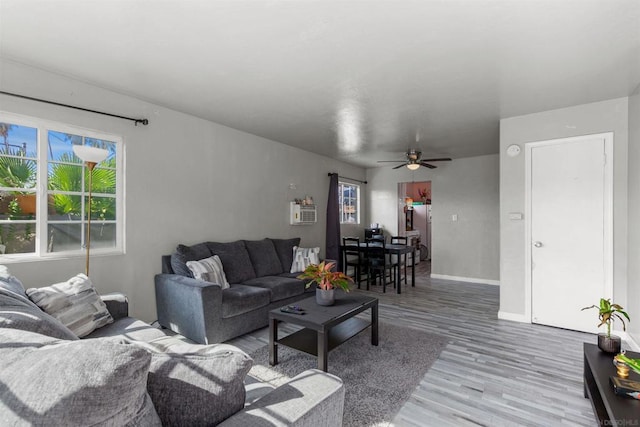 living room with ceiling fan and wood-type flooring