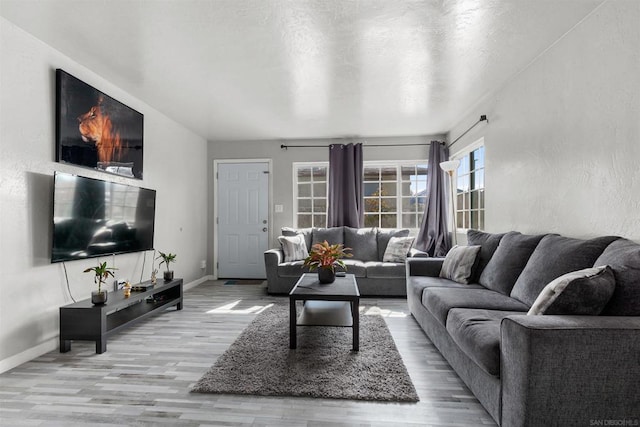 living room featuring light hardwood / wood-style floors