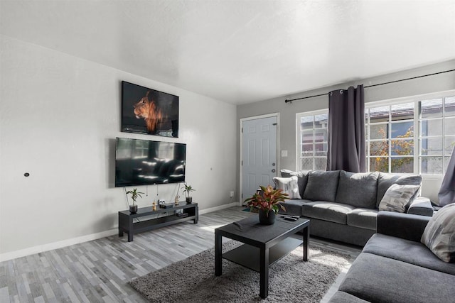 living room with light hardwood / wood-style flooring