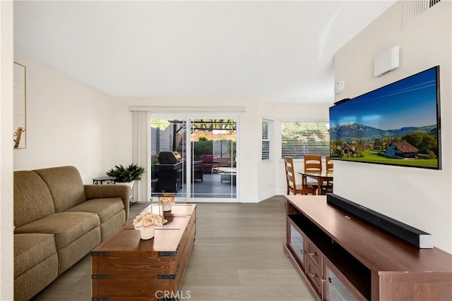 living room with hardwood / wood-style flooring and a wealth of natural light