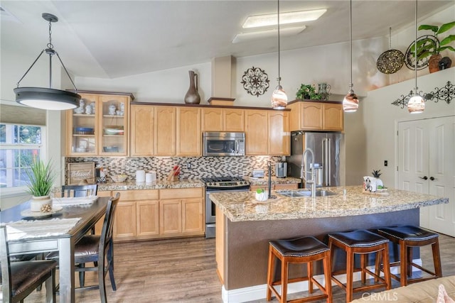 kitchen with decorative backsplash, a kitchen island with sink, stainless steel appliances, and light stone counters