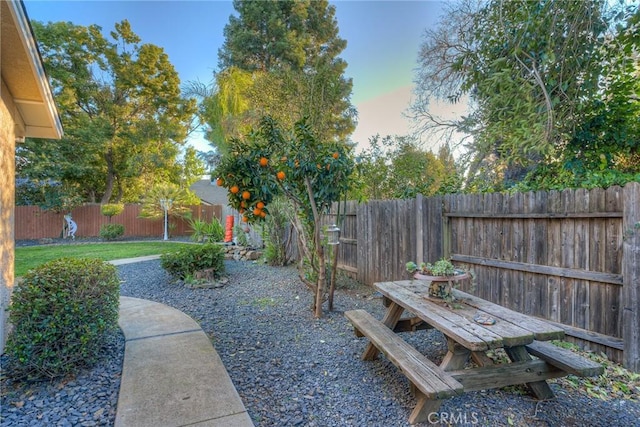 view of yard at dusk