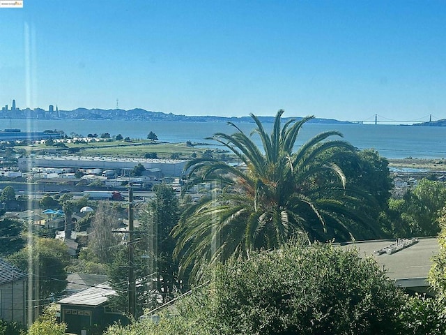 view of mountain feature with a water view