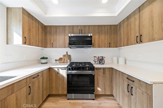 kitchen featuring a raised ceiling, ornamental molding, light hardwood / wood-style floors, and appliances with stainless steel finishes