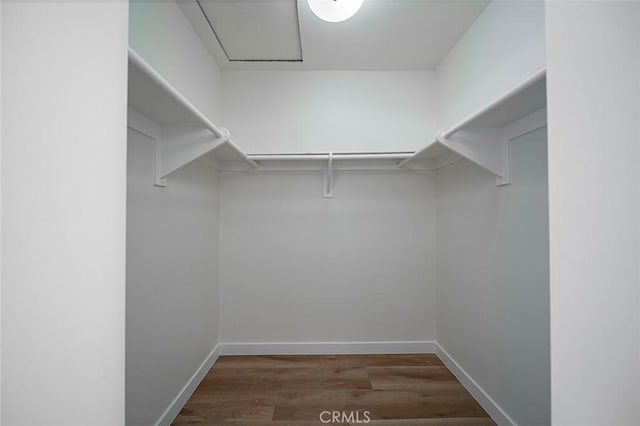 walk in closet featuring dark hardwood / wood-style floors