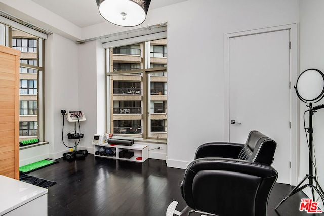 living area with dark hardwood / wood-style flooring and plenty of natural light