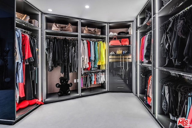 view of spacious closet