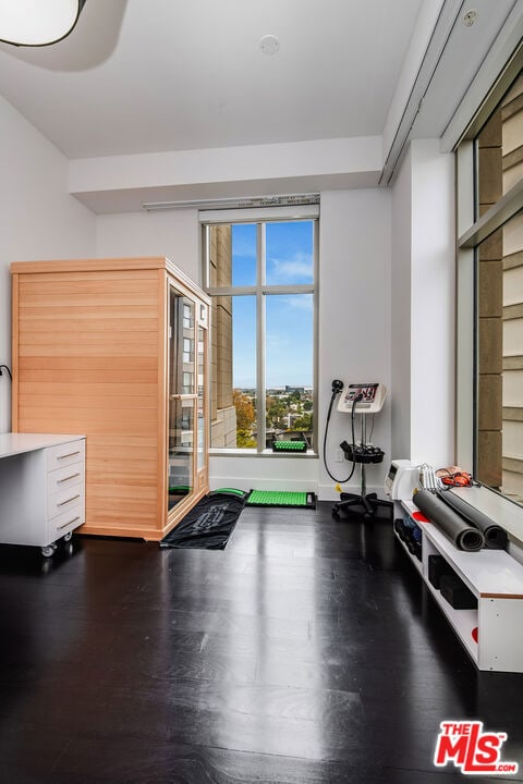 exercise area featuring hardwood / wood-style floors