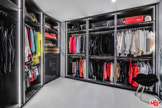 view of walk in closet