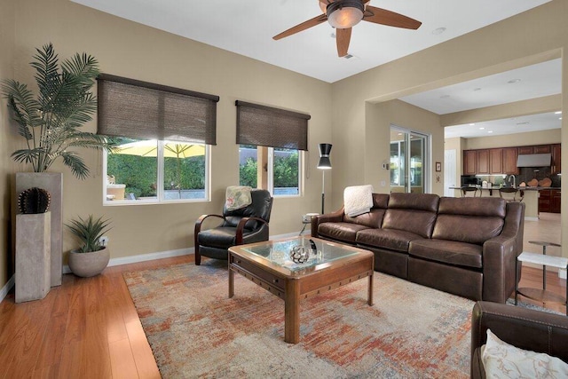 living room with ceiling fan and light wood-type flooring