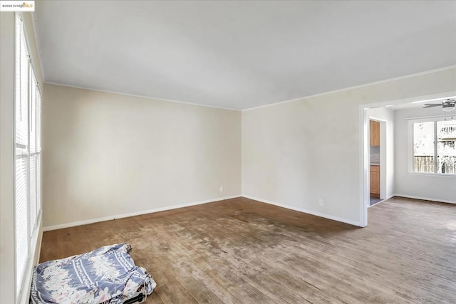 spare room featuring ceiling fan and wood-type flooring