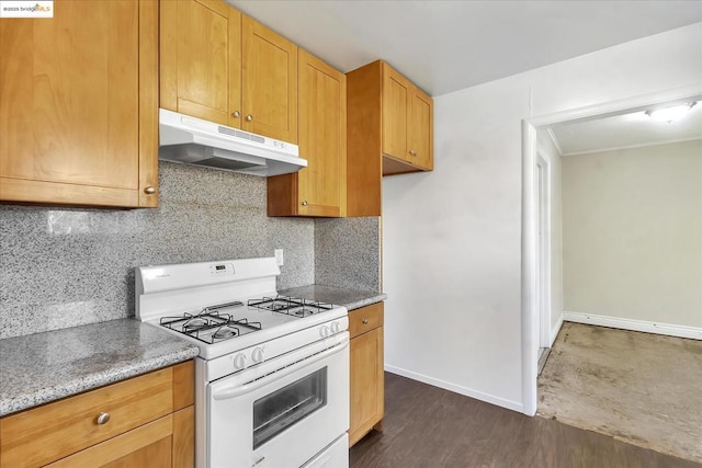 kitchen with decorative backsplash, dark hardwood / wood-style flooring, light stone counters, and white gas range