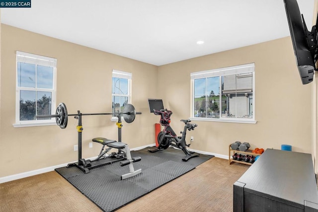 workout room with carpet flooring