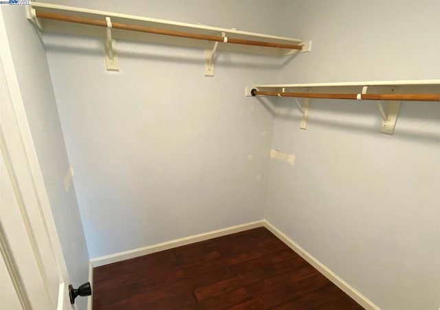 walk in closet with dark wood-type flooring