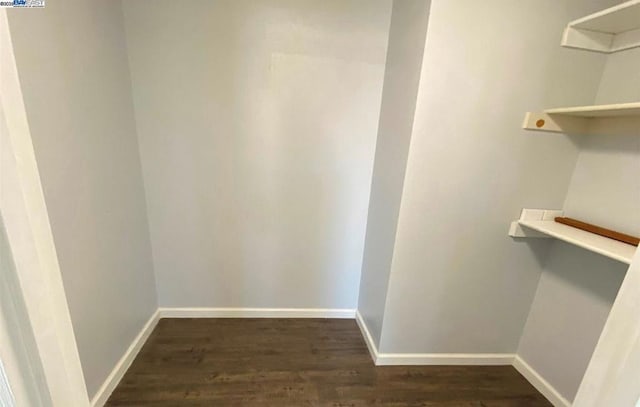 walk in closet with dark wood-type flooring