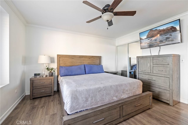 bedroom with ceiling fan, hardwood / wood-style floors, a closet, and crown molding