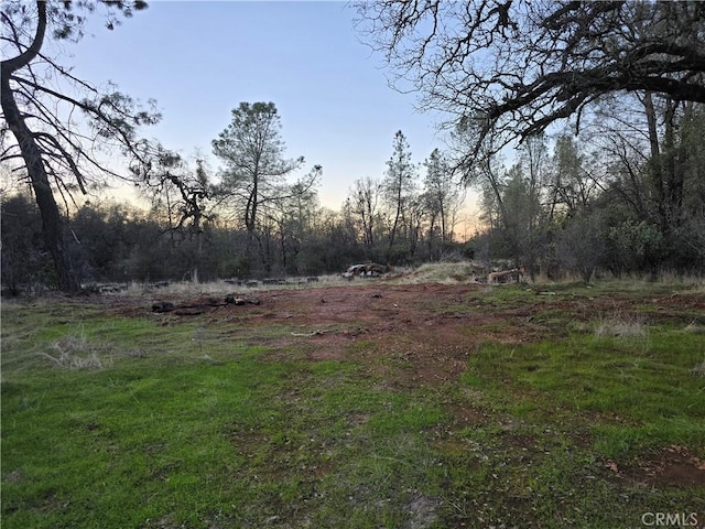 view of yard at dusk