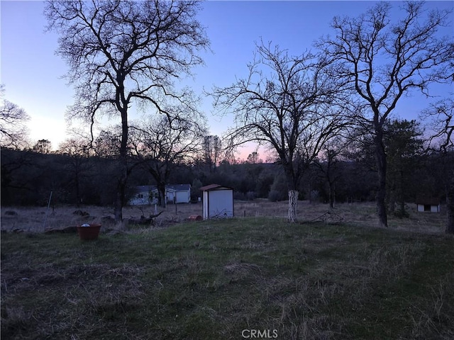 view of yard featuring an outbuilding and a storage shed