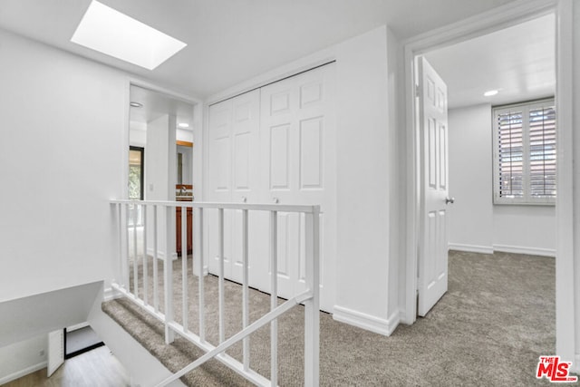 corridor with a skylight and carpet