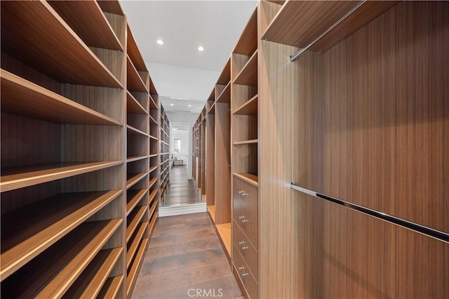 spacious closet featuring dark wood-type flooring