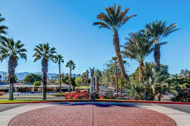 view of property's community featuring a mountain view