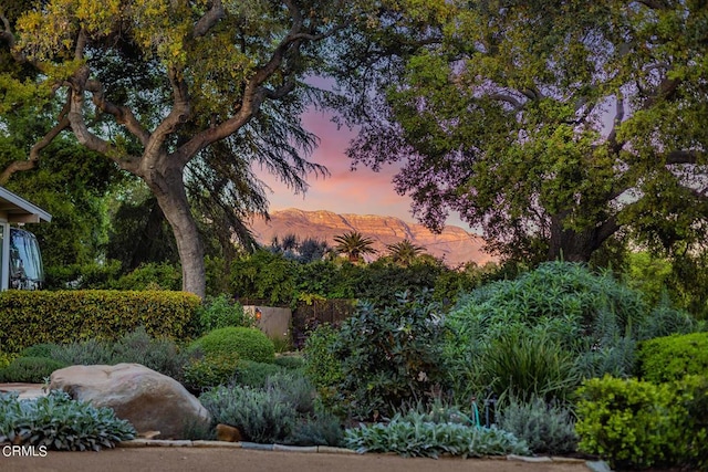 yard at dusk featuring a mountain view