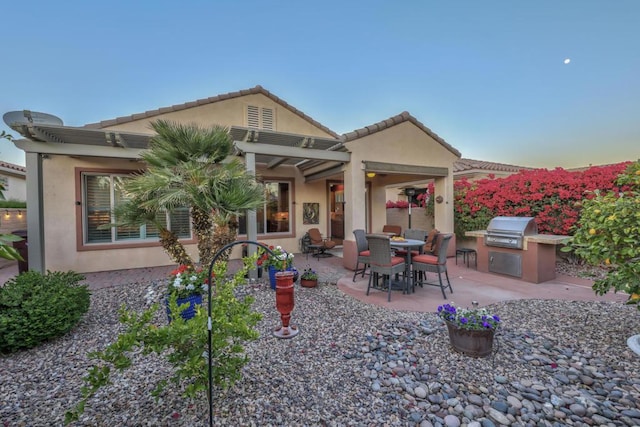 rear view of house featuring an outdoor kitchen and a patio