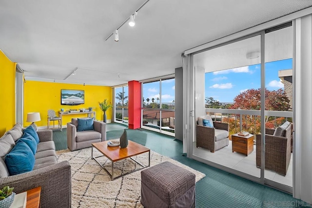 living room featuring expansive windows and track lighting