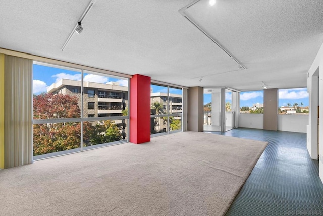 unfurnished sunroom featuring track lighting