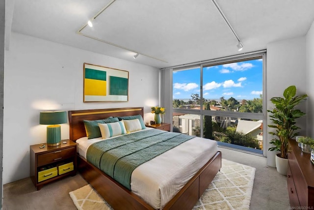 bedroom featuring rail lighting, carpet, and a wall of windows