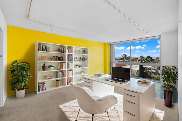 carpeted office space with expansive windows and track lighting