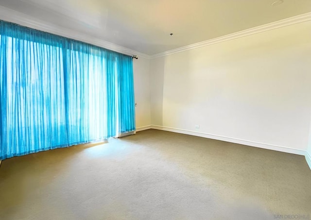 spare room with crown molding