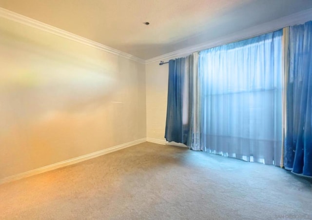 carpeted spare room featuring crown molding