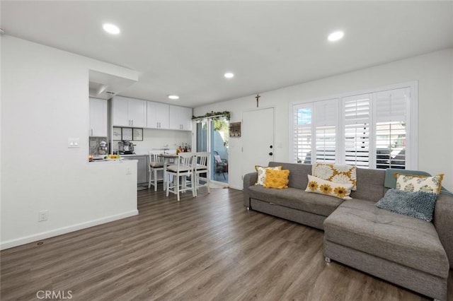 living room with dark hardwood / wood-style floors