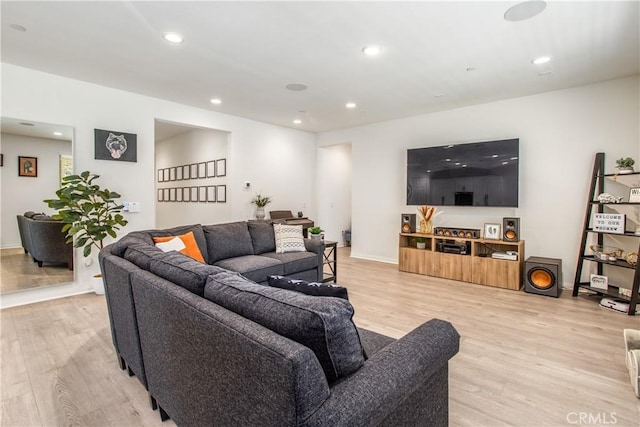 living room featuring light hardwood / wood-style flooring