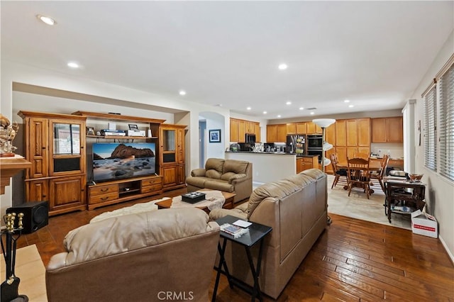 living room with dark hardwood / wood-style flooring